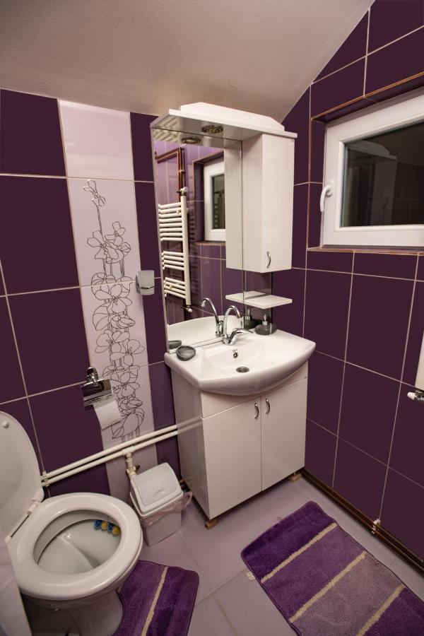 Apartmani Sp Jovanovic Crni Vrh Kültér fotó